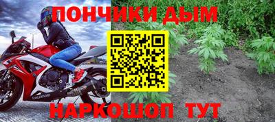 индика Комсомольск-на-Амуре
