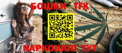 индика Комсомольск-на-Амуре