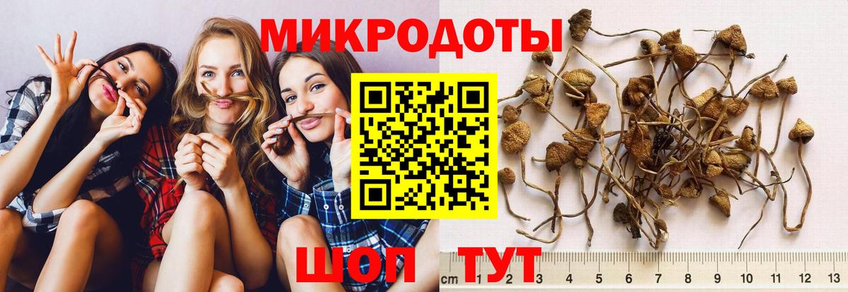 Кольчугино  Галлюциногенные грибы MAGIC MUSHROOMS  Вход с VPN 