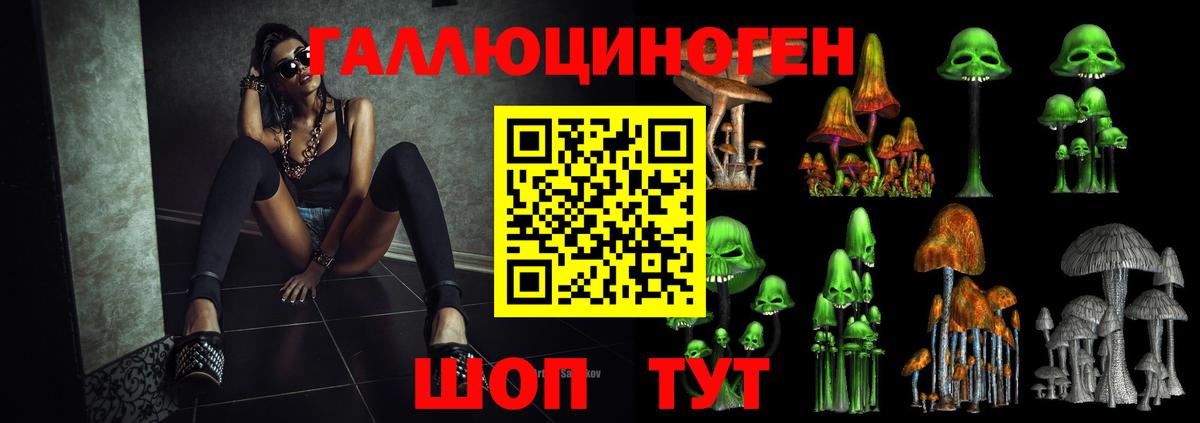 Галлюциногенные грибы Psilocybe Кольчугино